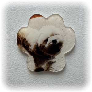 Dog paw print magnet